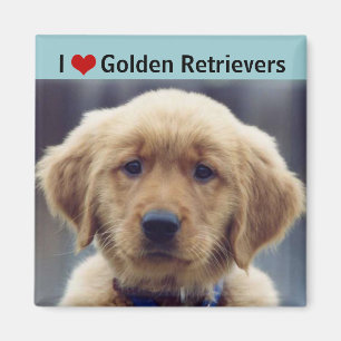 I Kärlek Golden Retrievers Cute Puppy Magnet