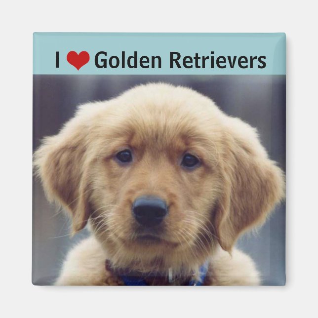 I Kärlek Golden Retrievers Cute Puppy Magnet (Framsidan)