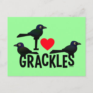 I Kärlek Grackles Vykort