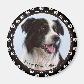 I kärlek Gräns Collies Magnet