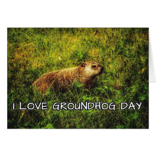I kärlek Groundhog Day-hälsningskort Hälsningskort