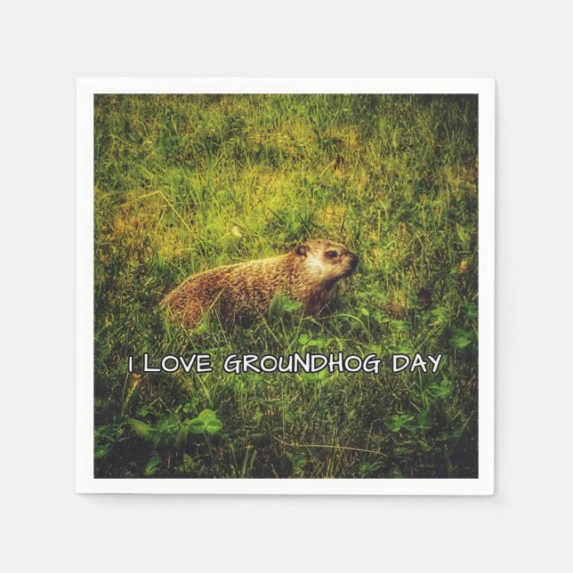 I kärlek Groundhog Day napkins Pappersservett (Framsidan)