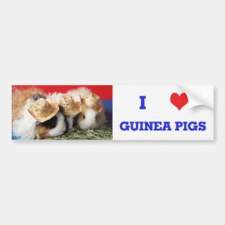 I Kärlek Guinea Grisar Bumper Sticker Bildekal