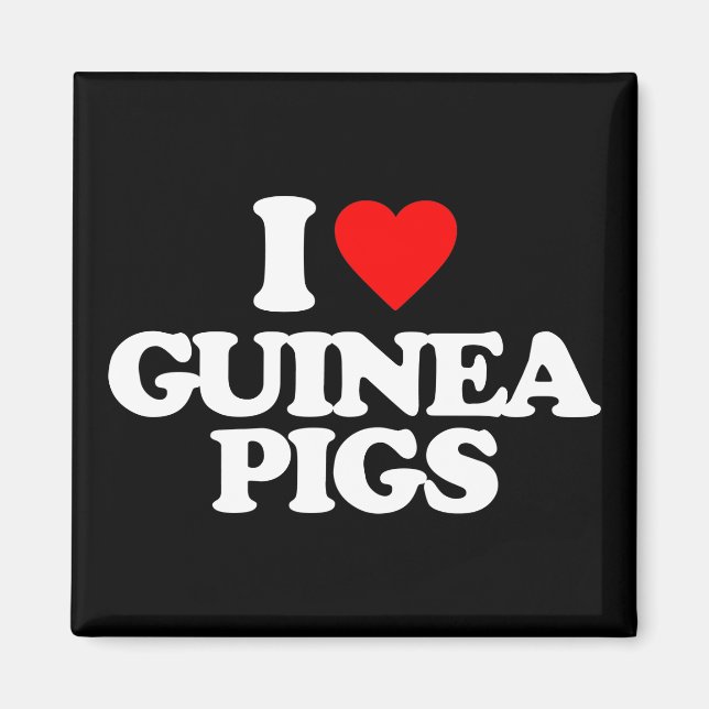 I KÄRLEK GUINEA GRISAR MAGNET (Framsidan)