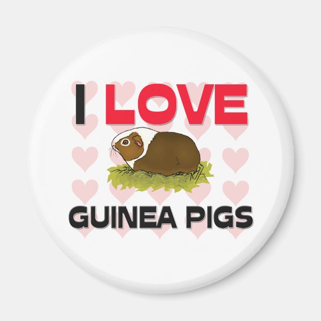 I Kärlek Guinea Grisar Magnet (Framsidan)