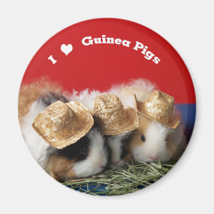I Kärlek Guinea Grisar Magnet