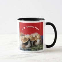 I Kärlek Guinea Grisar Mugg