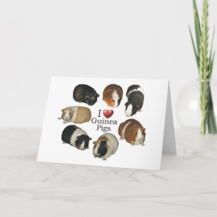 I Kärlek Guinea Grisar - Note Card Kort