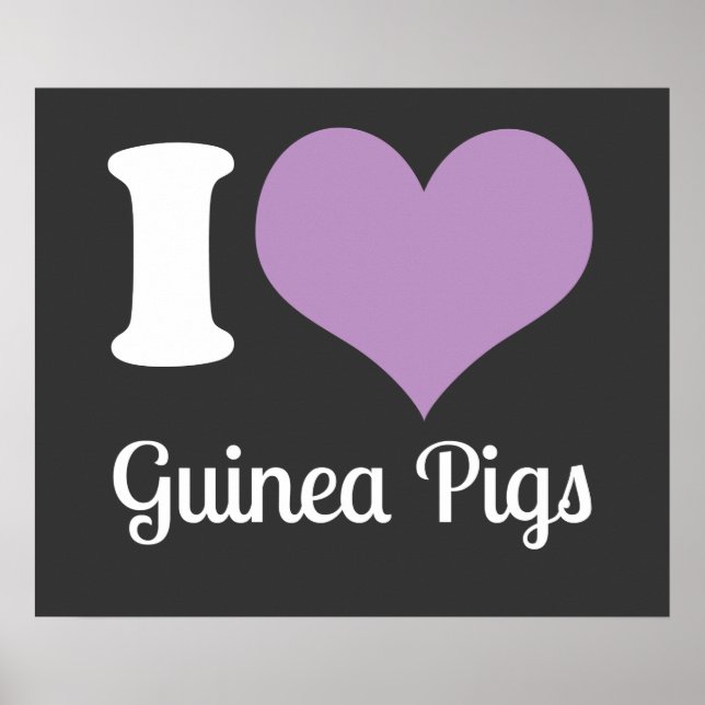 I Kärlek Guinea Grisar Poster (Framsidan)