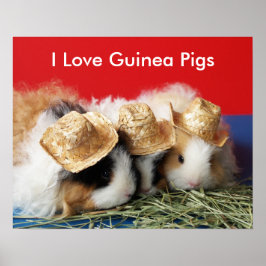 I Kärlek Guinea Grisar Poster