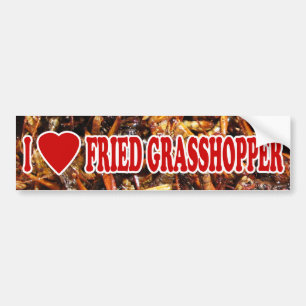 I Kärlek (Heart) Fried Grasopper Bildekal