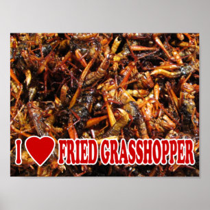 I Kärlek (Heart) Fried Grasopper Poster