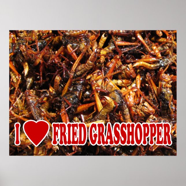 I Kärlek (Heart) Fried Grasopper Poster (Framsidan)