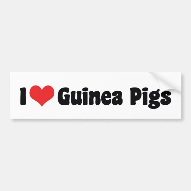 I Kärlek Heart Guinea Grisar Bildekal (Framsidan)