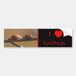 I Kärlek Heart Ladybugs Nature 3 Bildekal