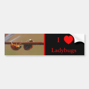 I Kärlek Heart Ladybugs Nature Bildekal