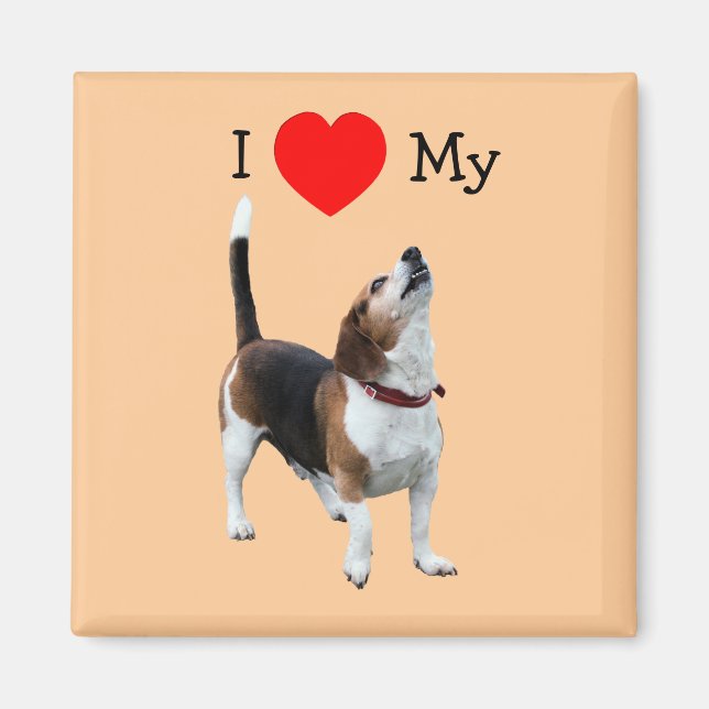 I Kärlek Heart min Beagle Hund Magnet (Framsidan)