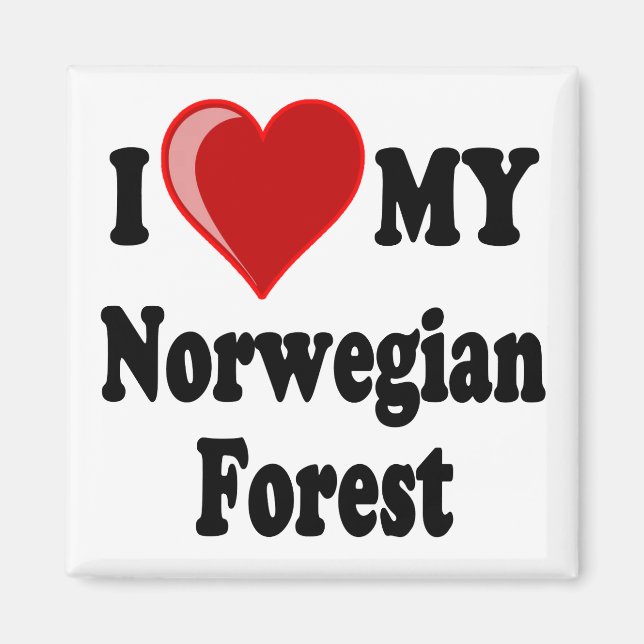 I Kärlek (Heart) Min norska skogskatt Magnet (Framsidan)