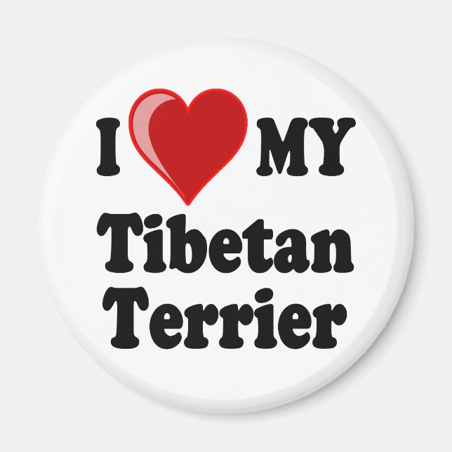 I Kärlek (Heart) Min tibetanska Terrier Hund Magnet (Framsidan)