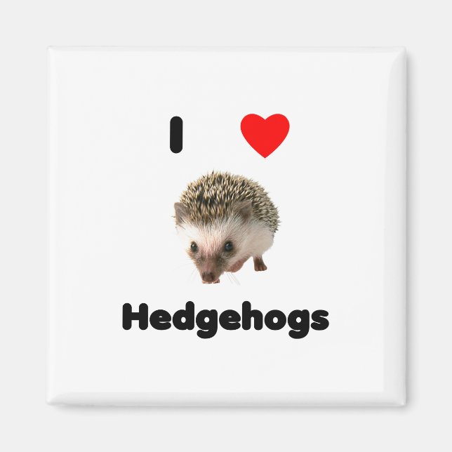 I kärlek hedgehogs Magnet (Framsidan)