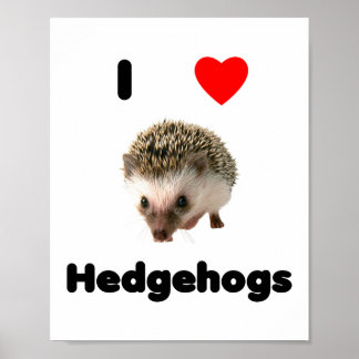 I kärlek hedgehogs poster
