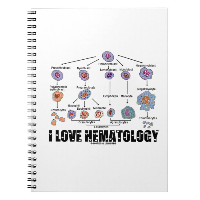 I Kärlek Hematologi (blodcellslineage) Anteckningsbok (Framsidan)