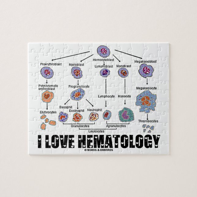 I Kärlek Hematologi (blodcellslineage) Pussel (Horisontell)