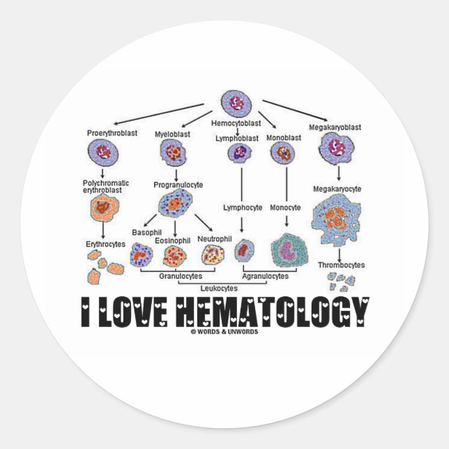 I Kärlek Hematologi (blodcellslineage) Runt Klistermärke (Framsida)