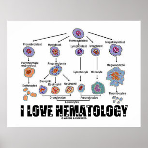 I Kärlek Hematologi Blood Cell Lineage Poster