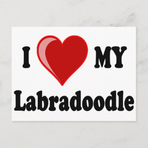 I Kärlek (hjärta) min labradoodle-Hund Vykort