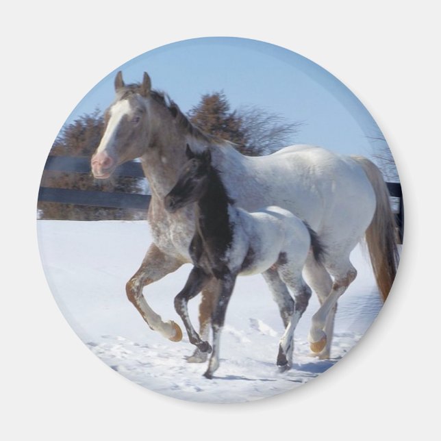 I KÄRLEK HORSES MAGNET (Framsidan)