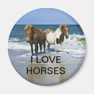 I KÄRLEK HORSES MAGNET