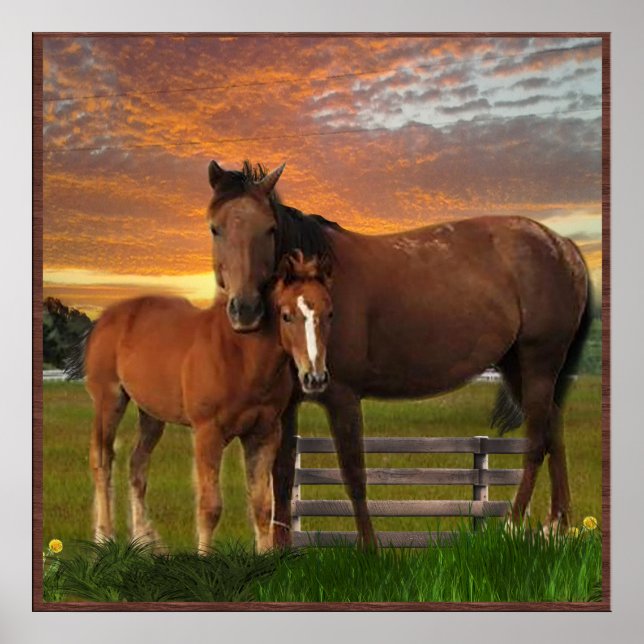 I kärlek Horses Poster (Framsidan)