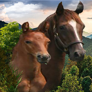 I kärlek Horses Poster