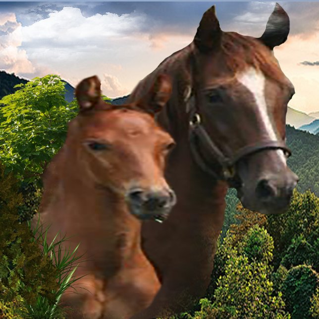 I kärlek Horses Poster (Skapare uppladdad)