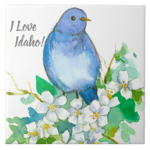 I Kärlek Idaho Bluebird Syringa Wildblomma Kakelplatta