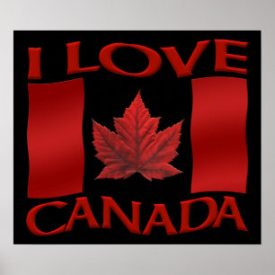 I Kärlek Kanada Poster Canada Souvenir Poster Skri