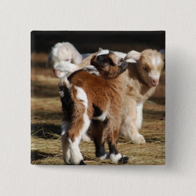 I Kärlek Kids Knapp (Framsida)