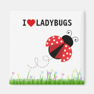 I Kärlek Ladybugs Magnet