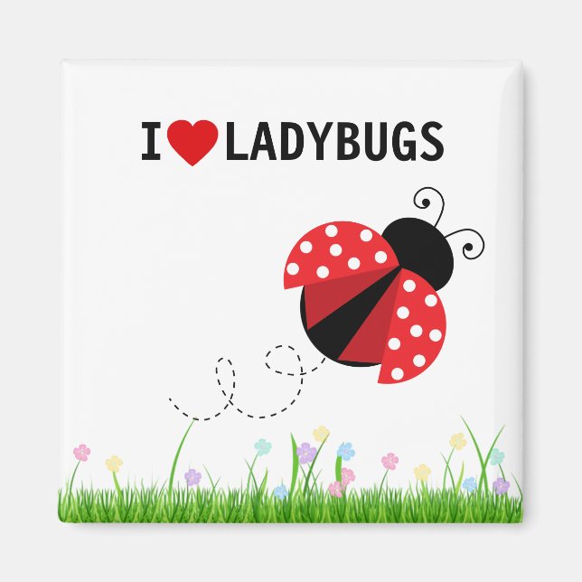 I Kärlek Ladybugs Magnet (Framsidan)