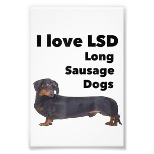 I Kärlek Long Sause Hundar Funny Wiener Dachshund Fototryck