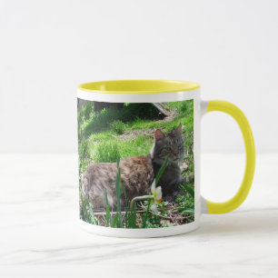 I KÄRLEK Maine Coons Mugg