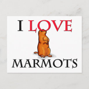 I Kärlek Marmots Vykort