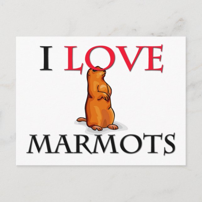 I Kärlek Marmots Vykort (Framsida)