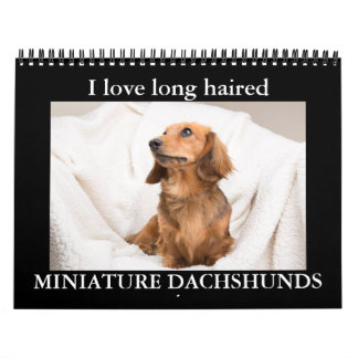 I KÄRLEK, med lång halveringstid, MINIATURE DACHSH Kalender
