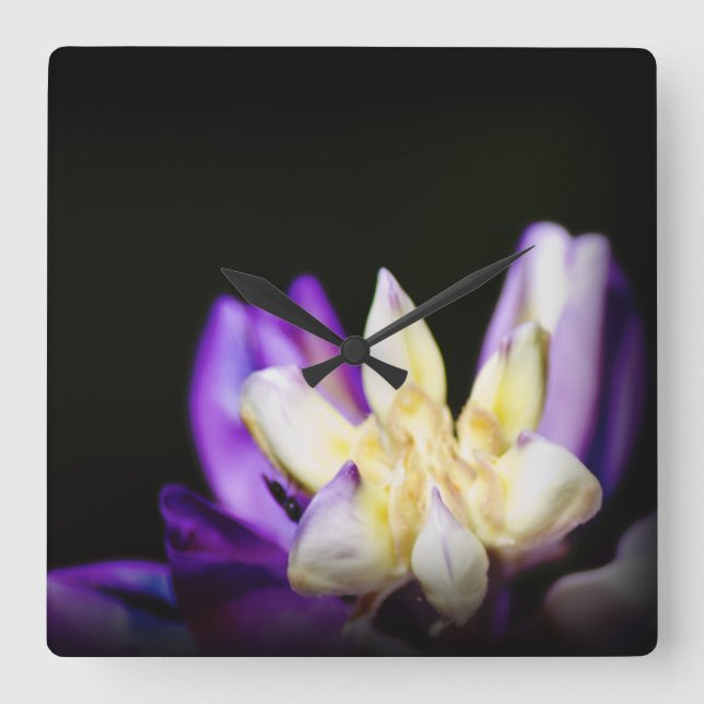 I Kärlek med Lupine Fyrkantig Klocka (Framsida)