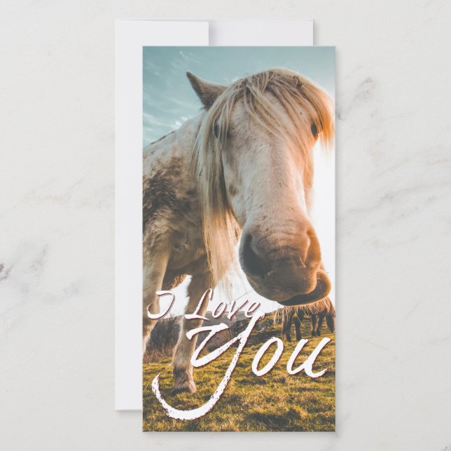 I kärlek med tittar häst (Framsida)