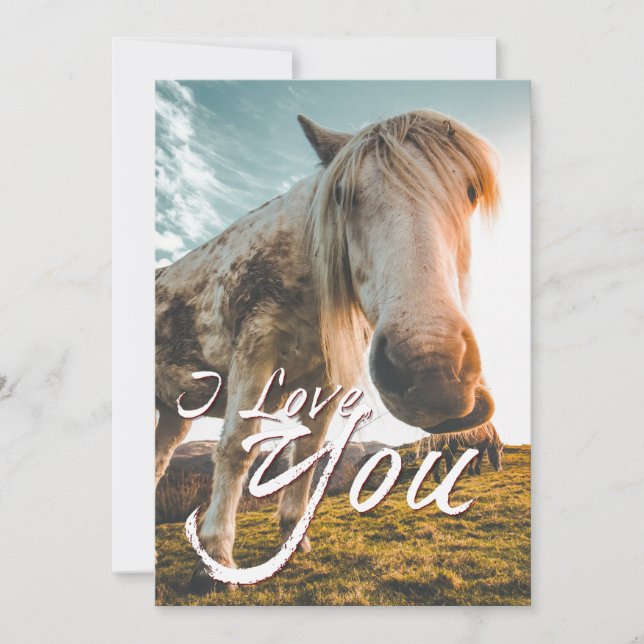 I kärlek med tittar häst (Framsida)