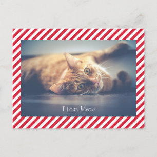 I Kärlek Meow Kat Alla hjärtans dag Fotovykort Helg Vykort