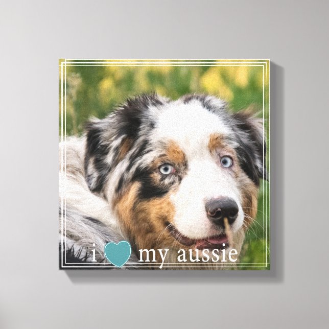 I kärlek min Aussie Australian shepherd White Grän Canvastryck (Framsida)